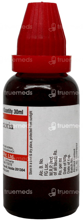 Dr Willmar Schwabe Baptisia Tinctoria Q Mother Tincture 30Ml